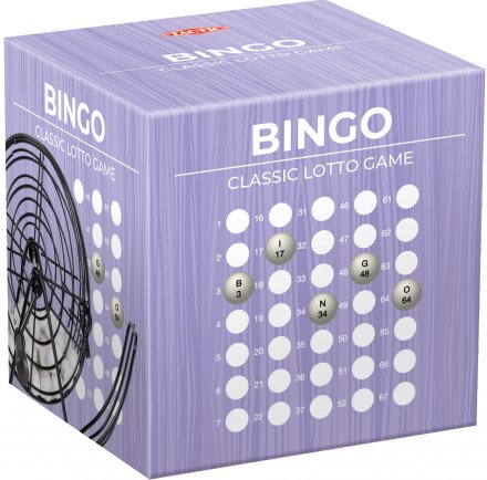 Bingo Classic Lotto Game