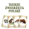 zdjęcie gry 