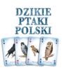 zdjęcie gry 