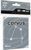 obrazek Koszulki na karty Rebel Premium Corvus (63x88 mm) 100 sztuk 