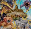 obrazek Spirit Island: Jagged Earth 