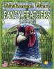 obrazek Fancy Feathers 