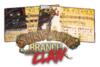 obrazek Spirit Island Branch & Claw Foil Panels 