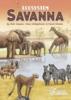 obrazek Ecosystem: Savanna (edycja angielska) 