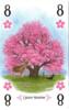 obrazek Arboretum US Cherry Blossom Alternate Art Card 