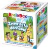 obrazek BrainBox - Zwierzęta domowe 