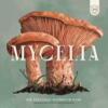 obrazek Mycelia 