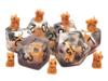 obrazek Animal Kingdom Squirrel Brown Dice Set (7) 