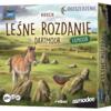 obrazek Leśne rozdanie: Dartmoor - Exmoor 