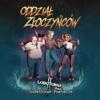 obrazek LOBOTOMIA II: ODDZIAŁ ZŁOCZYŃCÓW - dodatek 