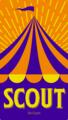 polecamy Scout