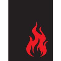 logo przedmiotu Standard Sleeves - Iconic - Fire