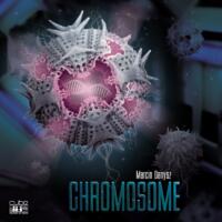 logo przedmiotu Chromosome