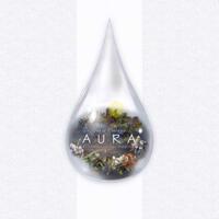 logo przedmiotu Aura