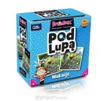 logo przedmiotu BrainBox Pod Lupą: Wakacje