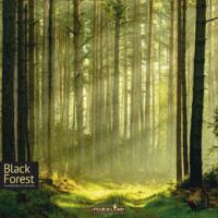 logo przedmiotu Black Forest (edycja angielska)