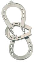 logo przedmiotu Cast Horse
