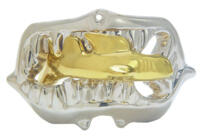 logo przedmiotu Cast Shark - poziom 1/6