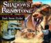 obrazek Shadows of Brimstone: Dark Stone Hydra XL Enemy Pack 