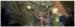 obrazek Mutant Chronicles Gamemaster Screen 