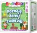 obrazek BrainBox - Poznaję domy zwierząt 