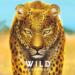 obrazek Wild: Serengeti (edycja angielska) 