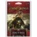obrazek The Lord of the Rings: The Card Game – RC: Riders of Rohan 
