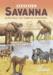 obrazek Ecosystem: Savanna (edycja angielska) 