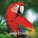 obrazek Life of the Amazonia (edycja angielska) 