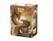 obrazek Dragon Shield Wood Snake 2025 - Matte Dual Art Sleeves 