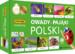 obrazek Memory Owady i pająki Polski 