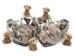 obrazek Animal Kingdom Puppy Dog Dice Set (7) 