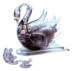 obrazek Crystal puzzle - Łabędź Czarny 