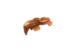 obrazek Nistrim Raider: Star Trek Attack Wing (Wave 4) 