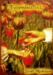 obrazek Tulipmania 1637 