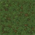 logo przedmiotu Runewars  Grassy Field Playmat