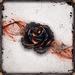 obrazek Black Rose Wars (edycja angielska) 