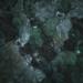 obrazek The Elder Scrolls - Double Sided Battlemat Dungeon/Wilderness 