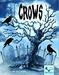 obrazek Crows 