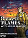 obrazek Down in Flames: WWII-Guns Blazing 