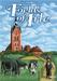 obrazek Fields of Arle  